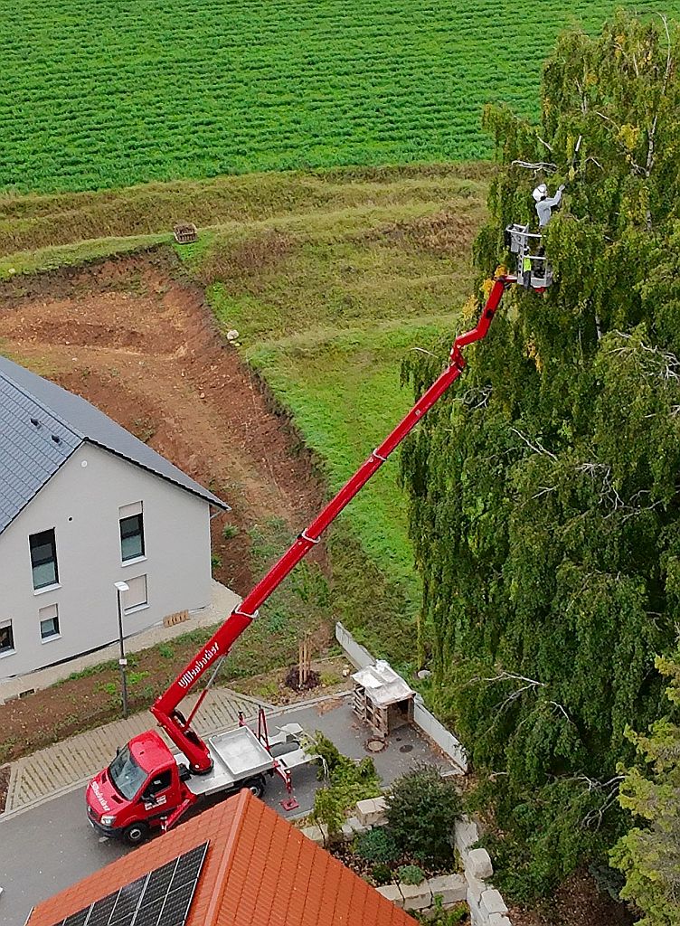 Baumwart in Hebebühne