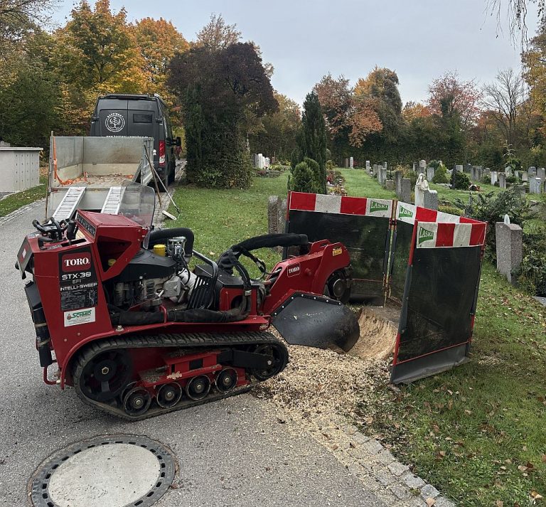 Baumstumpffräse im Einsatz